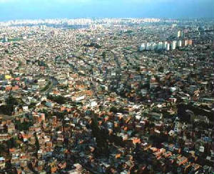 favelasmagalopolisstuartfranklinsaopauloco.jpg